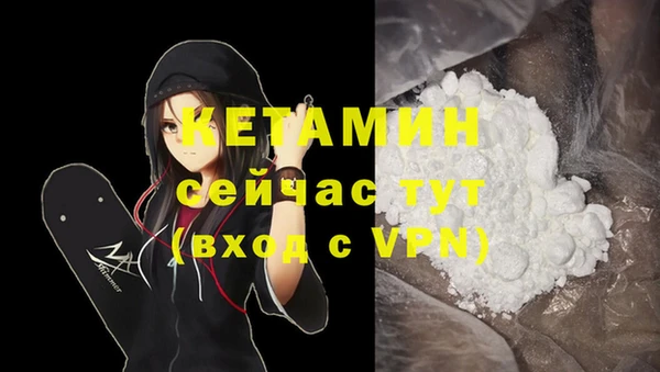 кокс Дмитровск