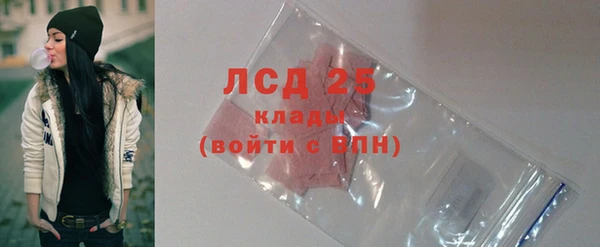 таблы Гусев