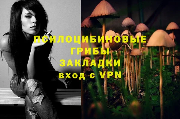 гидра Дмитриев