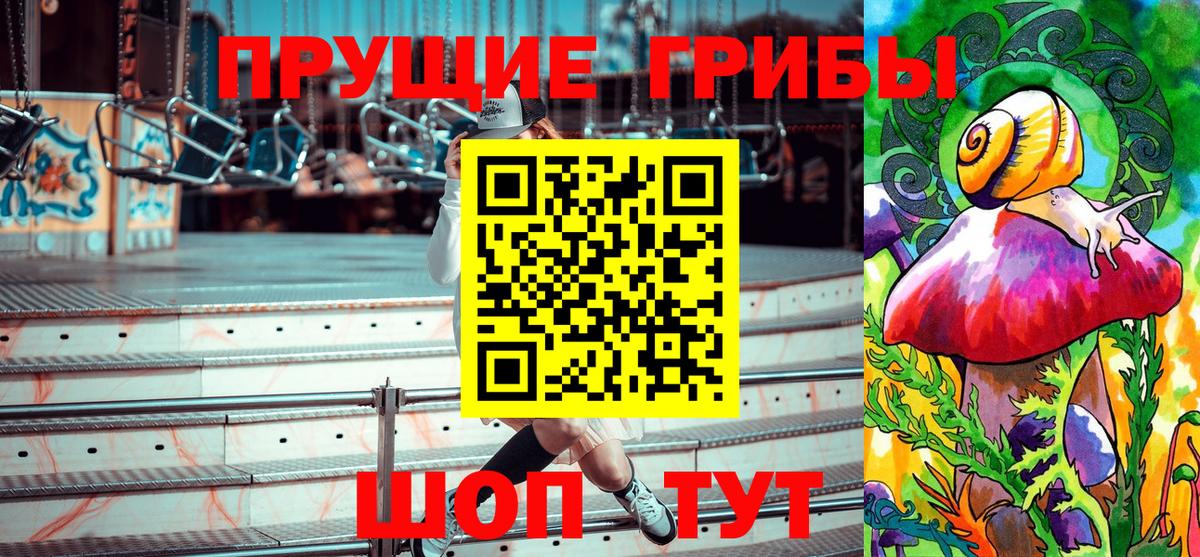 Галлюциногенные грибы Psilocybine cubensis  Междуреченск 